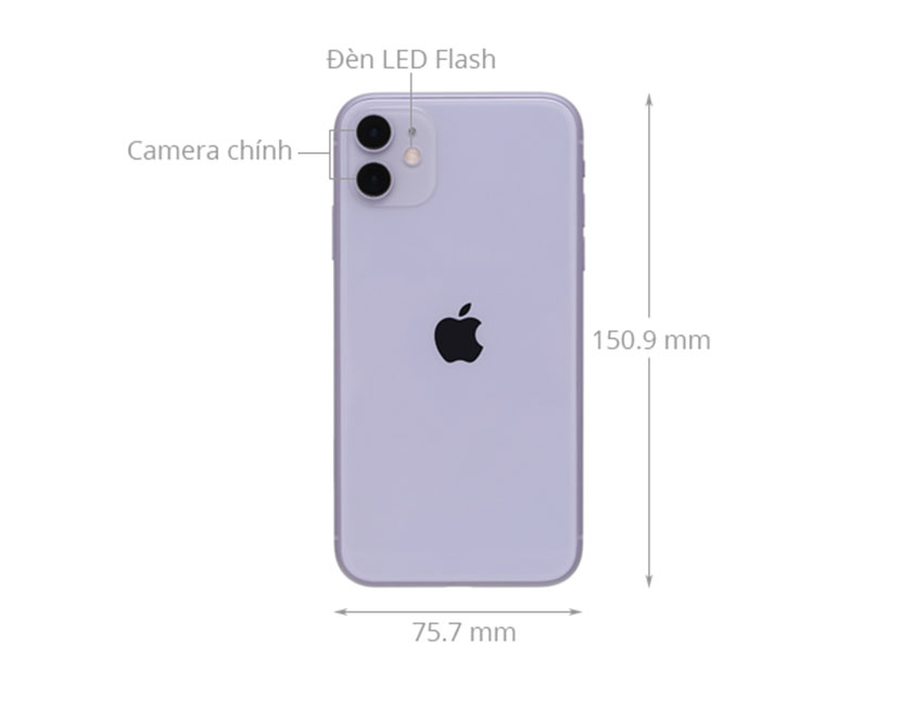 Kích thước màn hình iPhone 11 bao nhiêu inch?