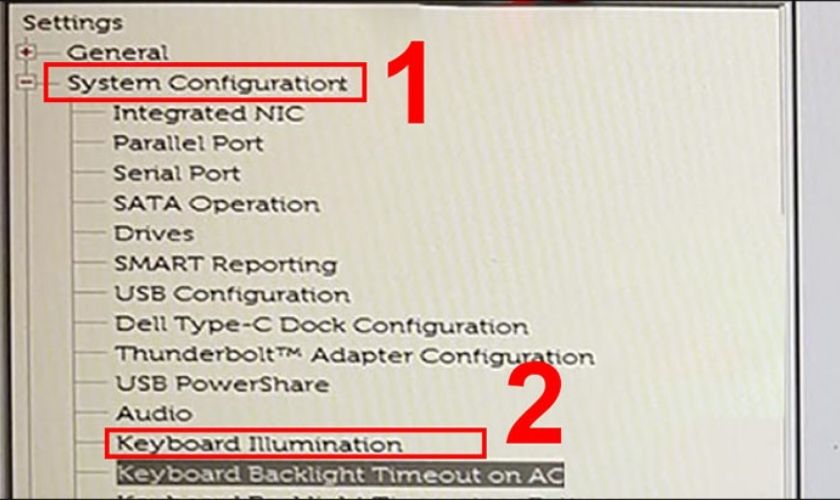 Chọn Keyboard Illumination trong phần System Configuration