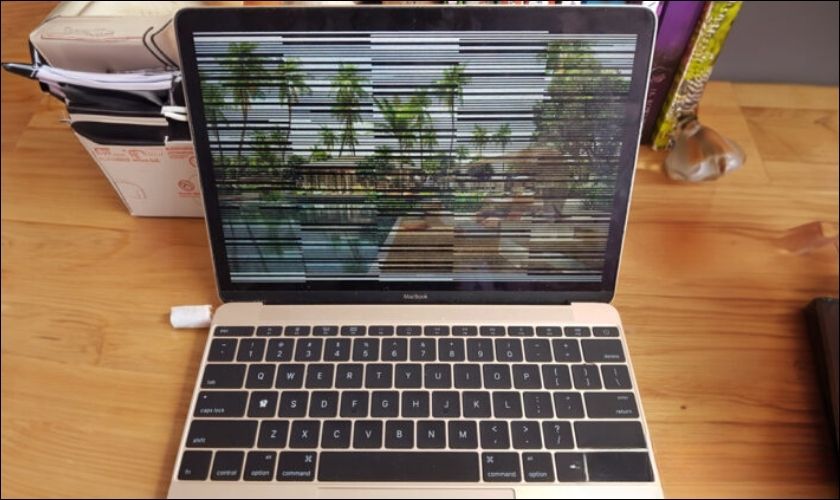 Nguyên nhân khiến MacBook bị lỗi màn hình sọc 