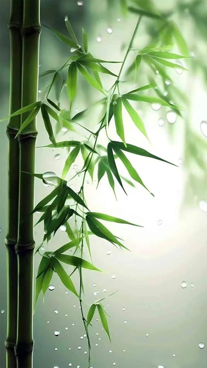 Hình nền mệnh mộc